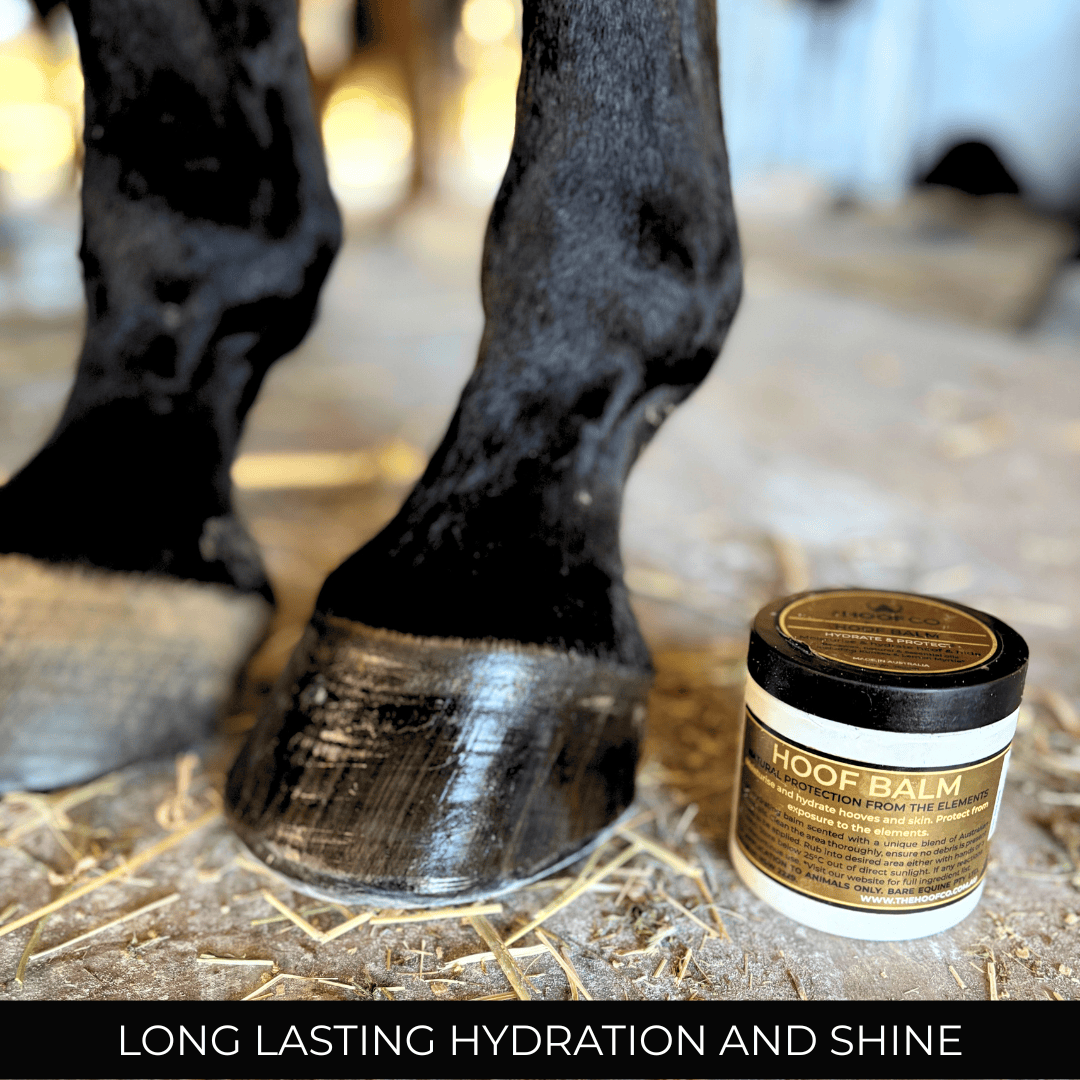 Hoof Balm Hoof Hydrator