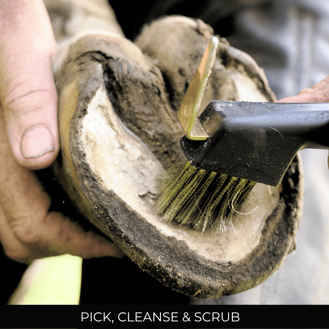 Person cleaning a horse's hoof with a brush and hoof pick.