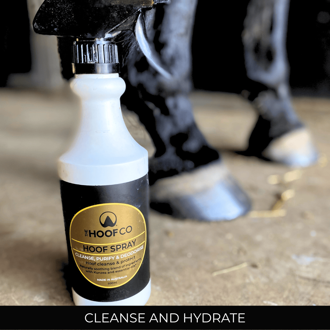 Bottle of Hoof Co hoof spray with a horse's hooves in the background