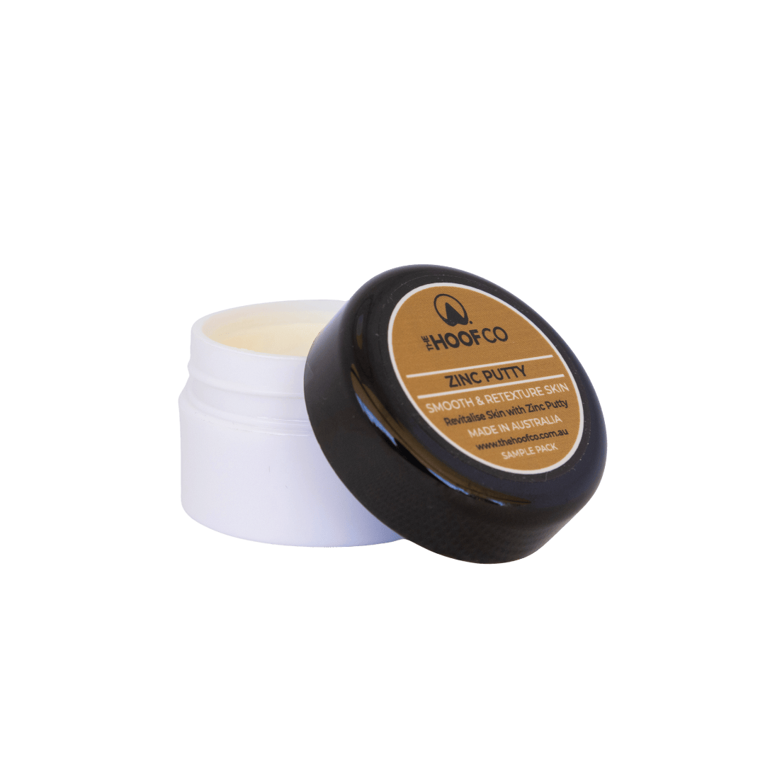 Zinc Putty Trial Size 25g