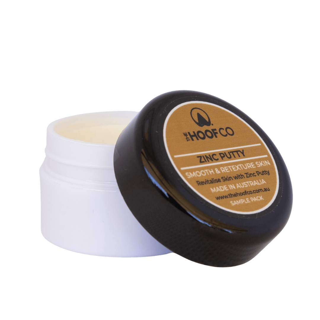 Zinc Putty Trial Size 25g
