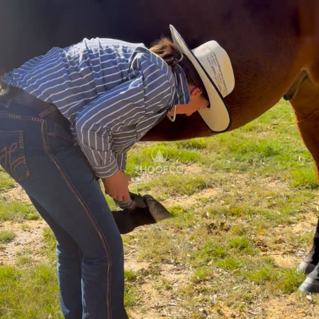 Horse Hooves in Spring: What Australian Owners Need to Know