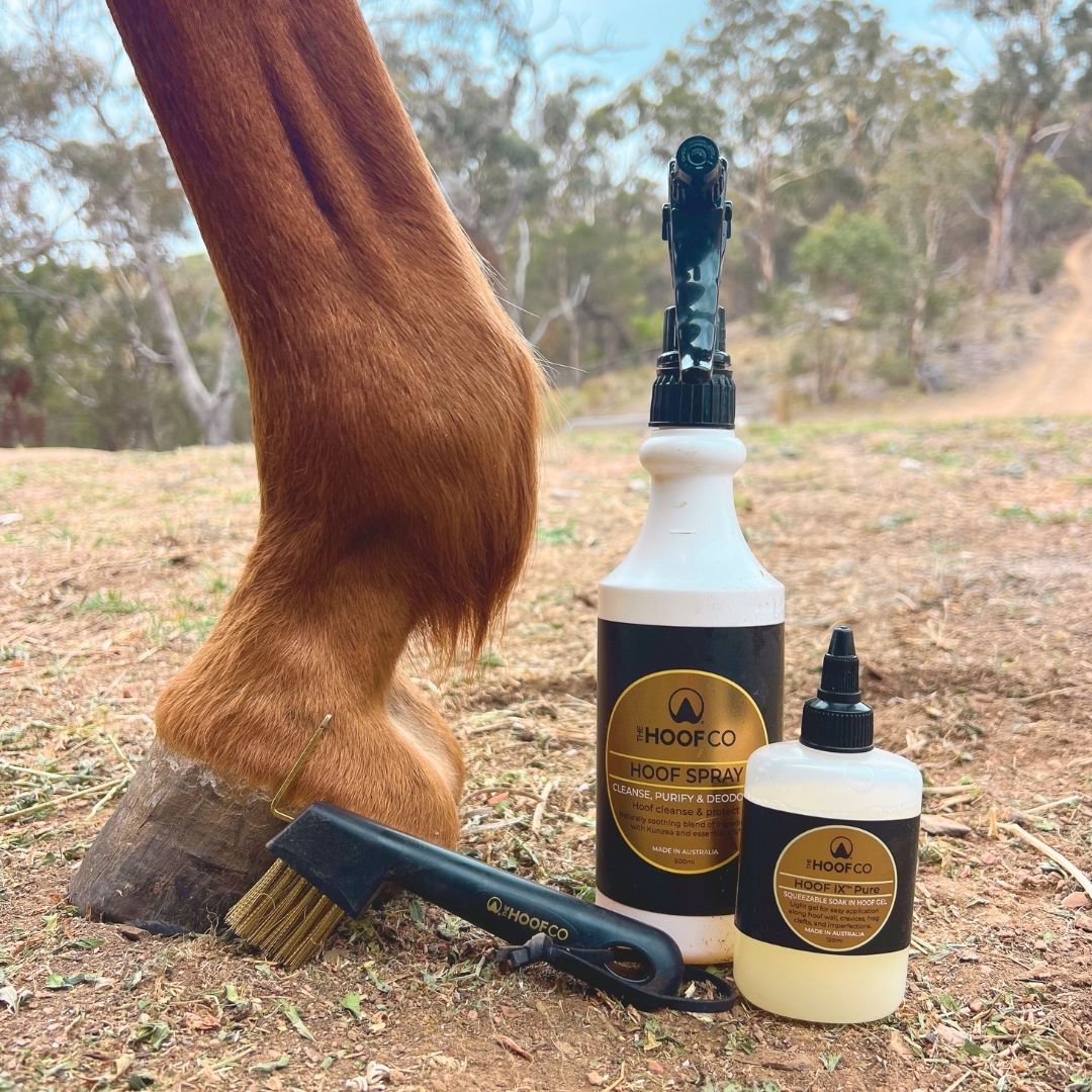 HOOF CLEANING ESSENTIALS