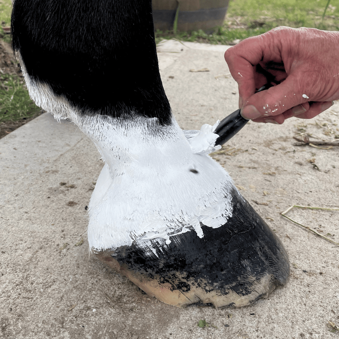 Applying sock whitener