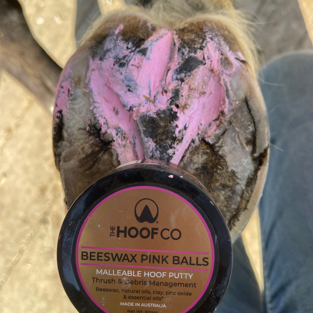 Beeswax PINK Balls - Hoof Putty for Thrush management