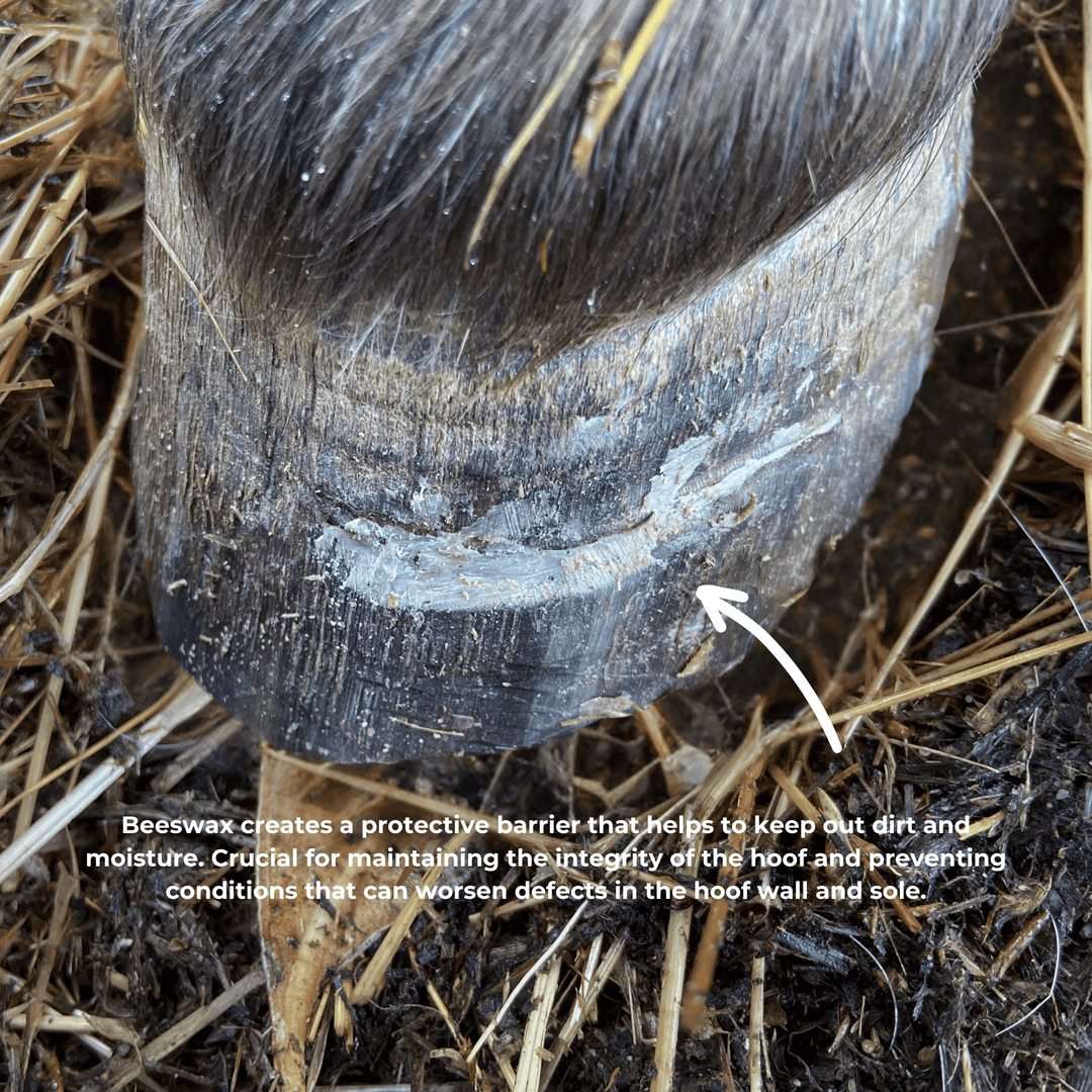 Beeswax PURE Balls - Hoof defect management