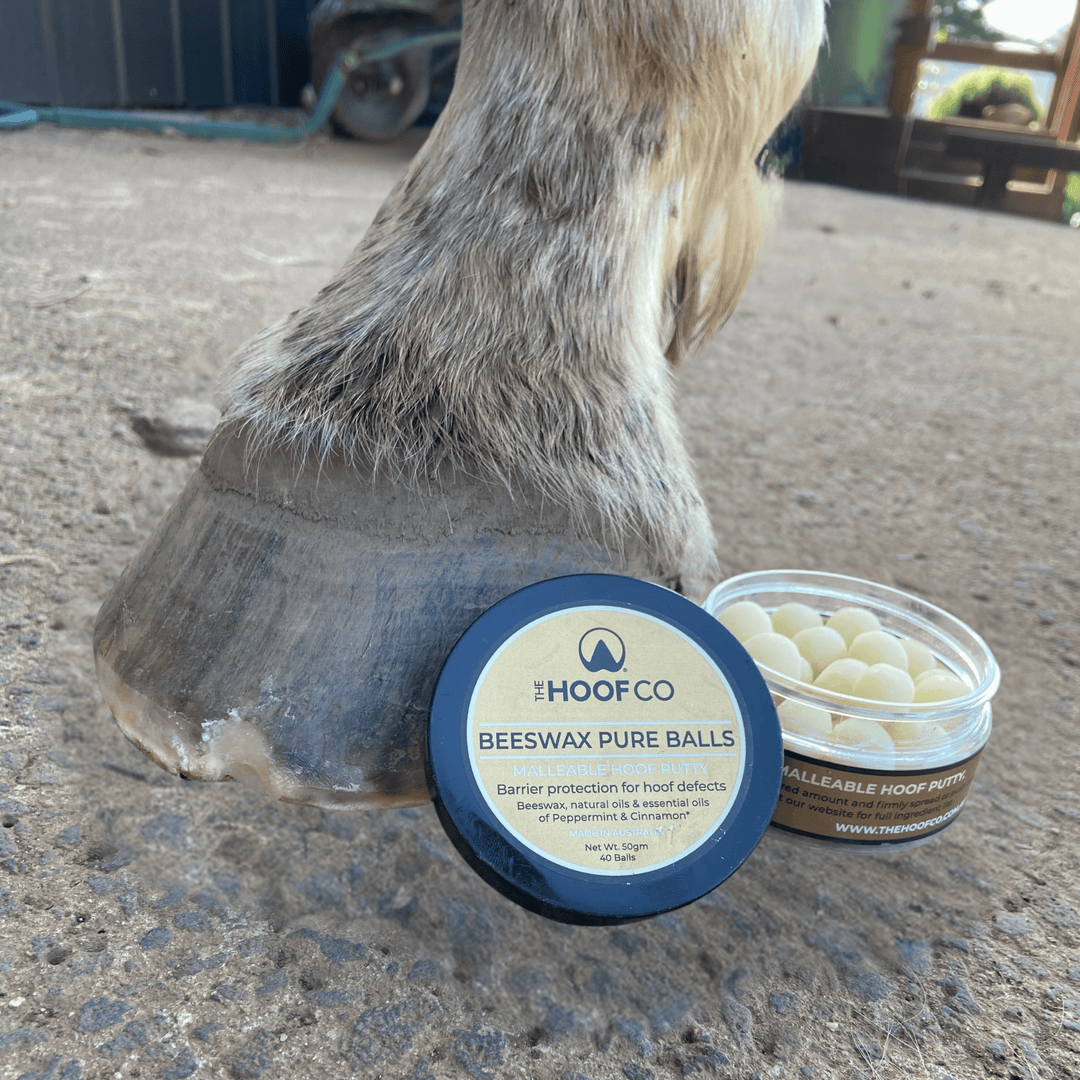 Beeswax PURE Balls - Hoof defect management