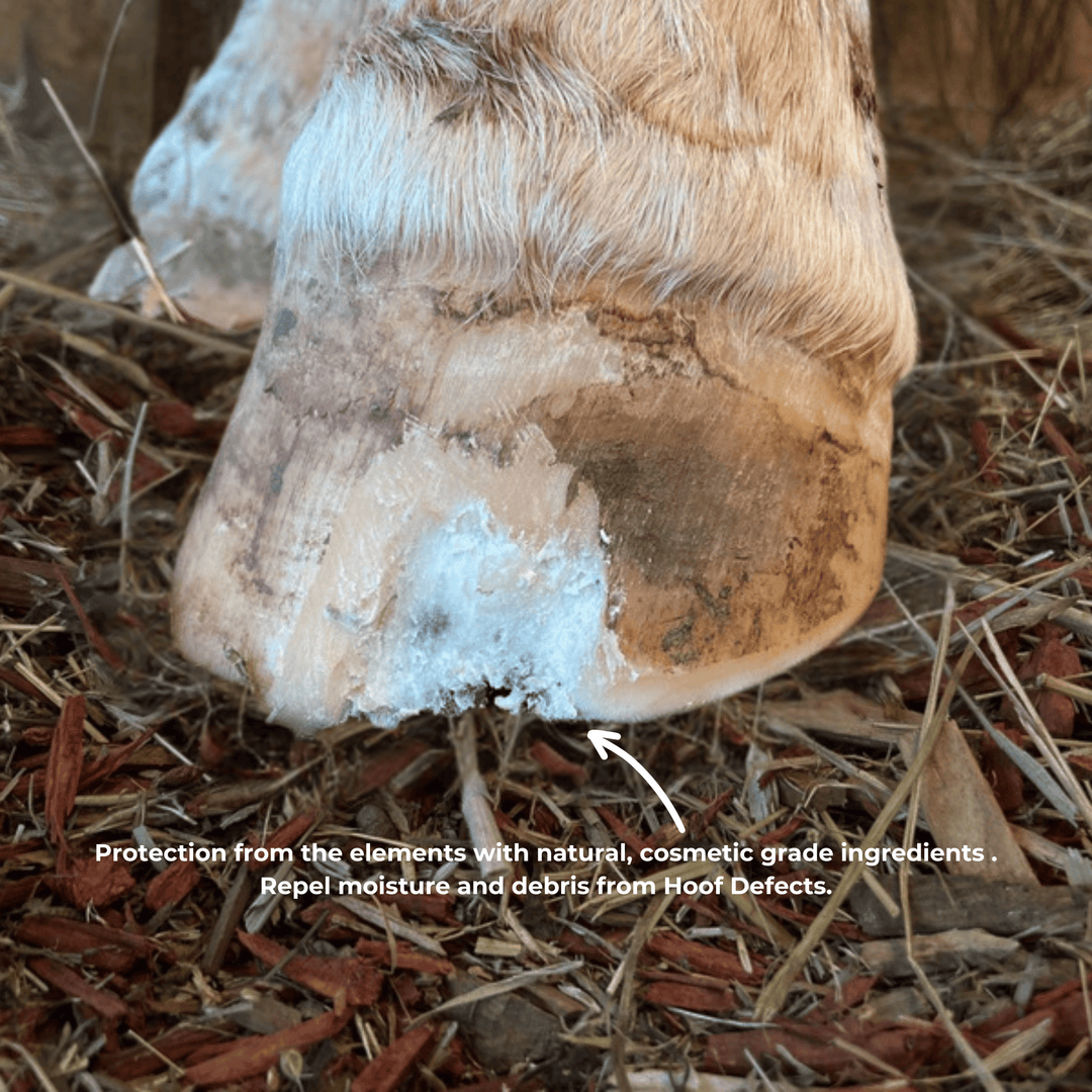 Beeswax PURE Balls - Hoof defect management