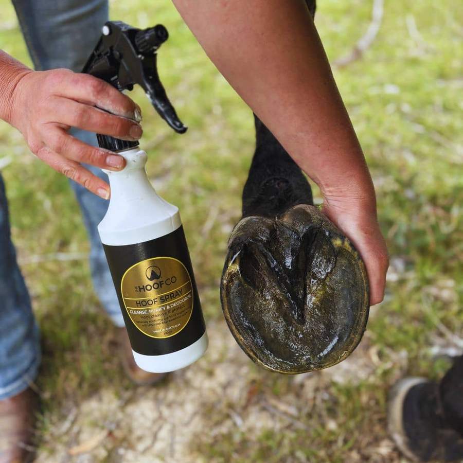Hoof Spray for cleaning and conditioning horses hooves