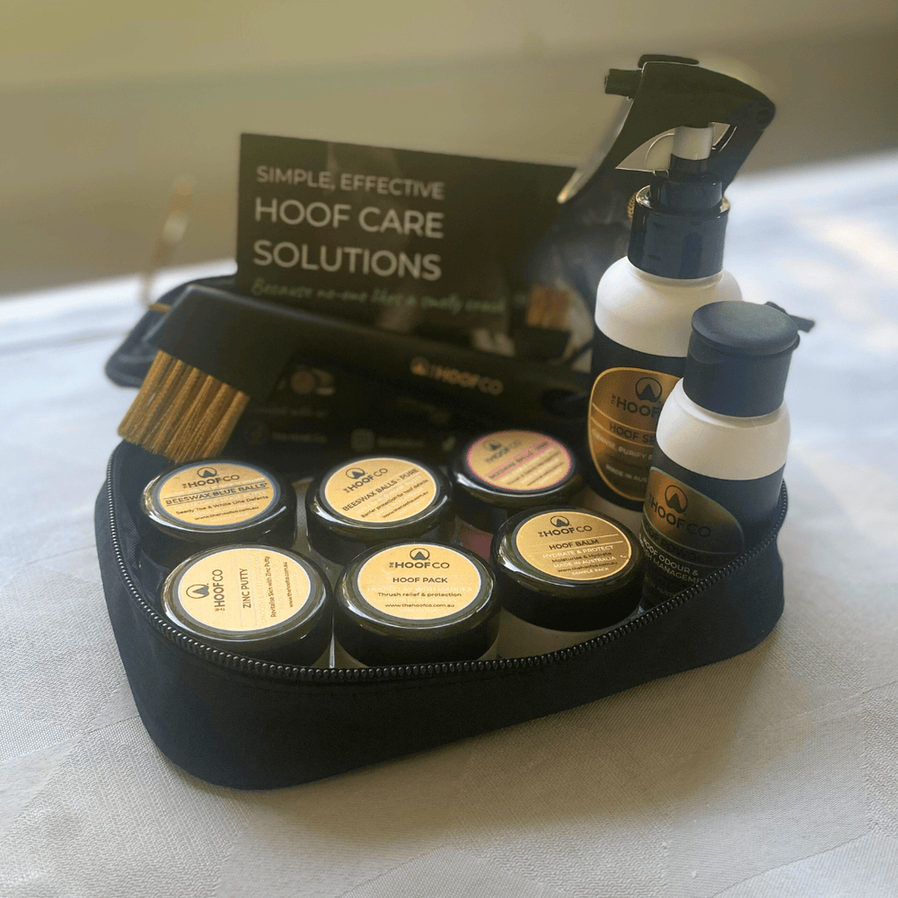 Mini Hoof Care Kit with wire hoof pick