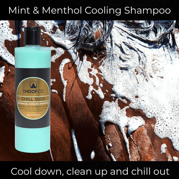 Menthol cooling shampoo for horses