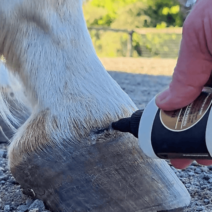 hoof gel, abscess hold, hoof ix, hoof hygiene