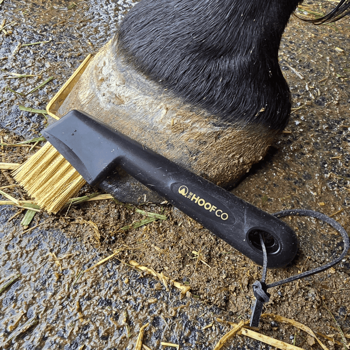 Golden wire hoof pick with built in wire brush for horse hoof cleaning