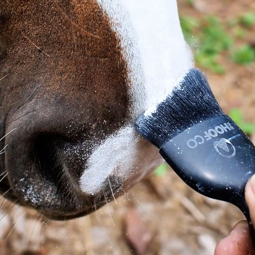 Equizinc horse sunscreen powder