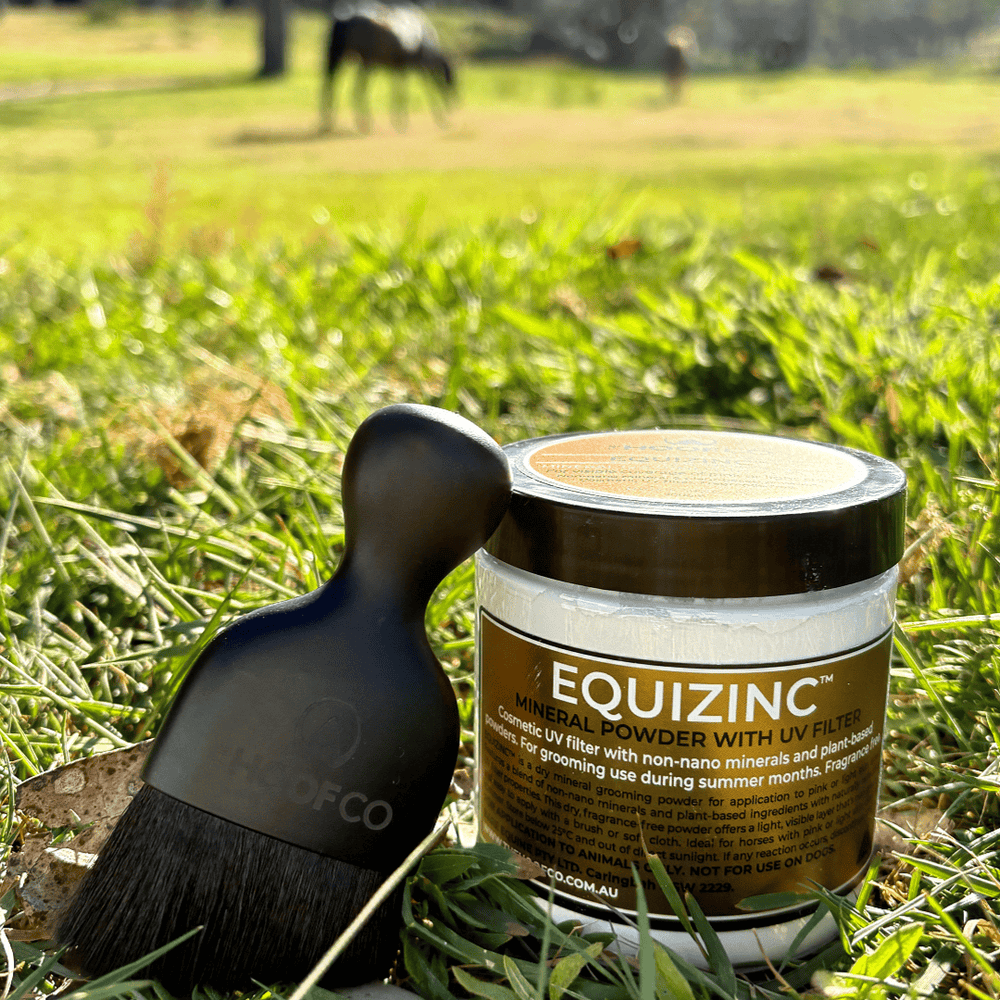 Powdered sunscreen for horses
