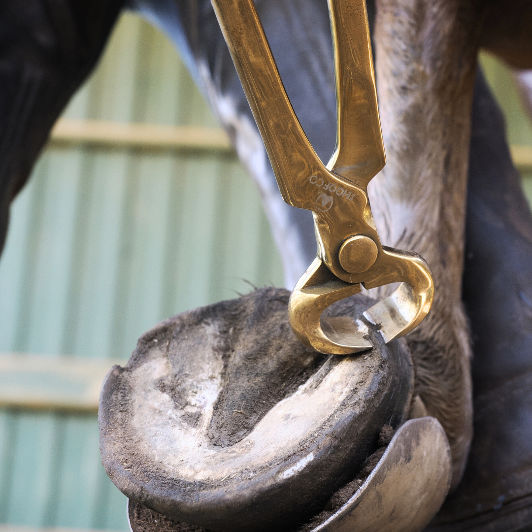 The Hoof Co Gold Nippers