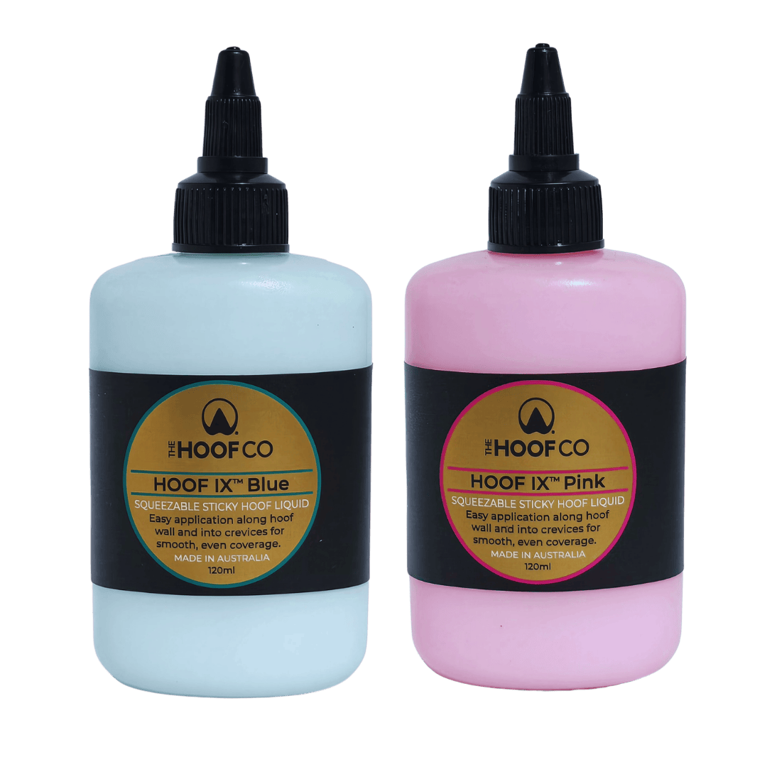HOOF IX Duo