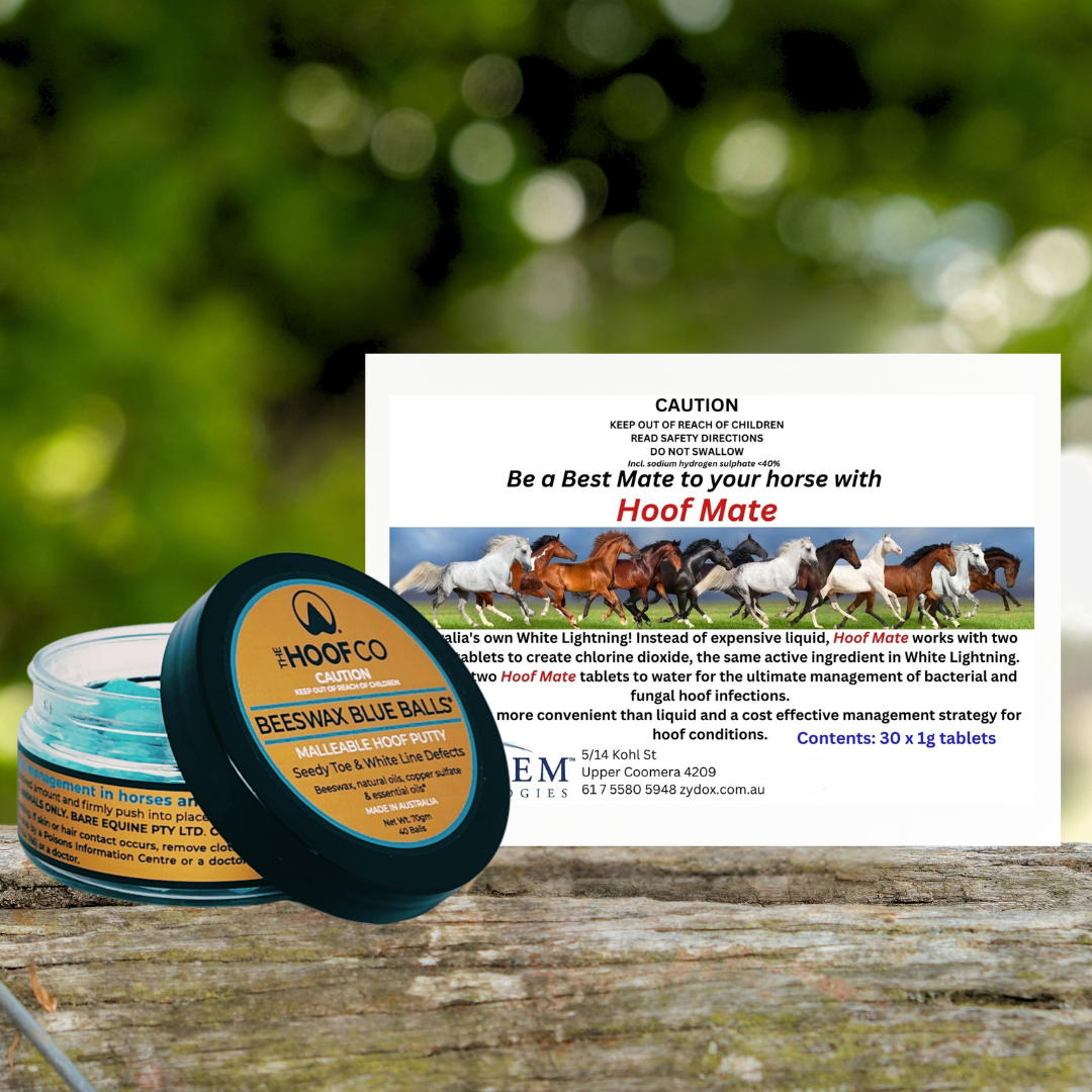 Seedy Toe products