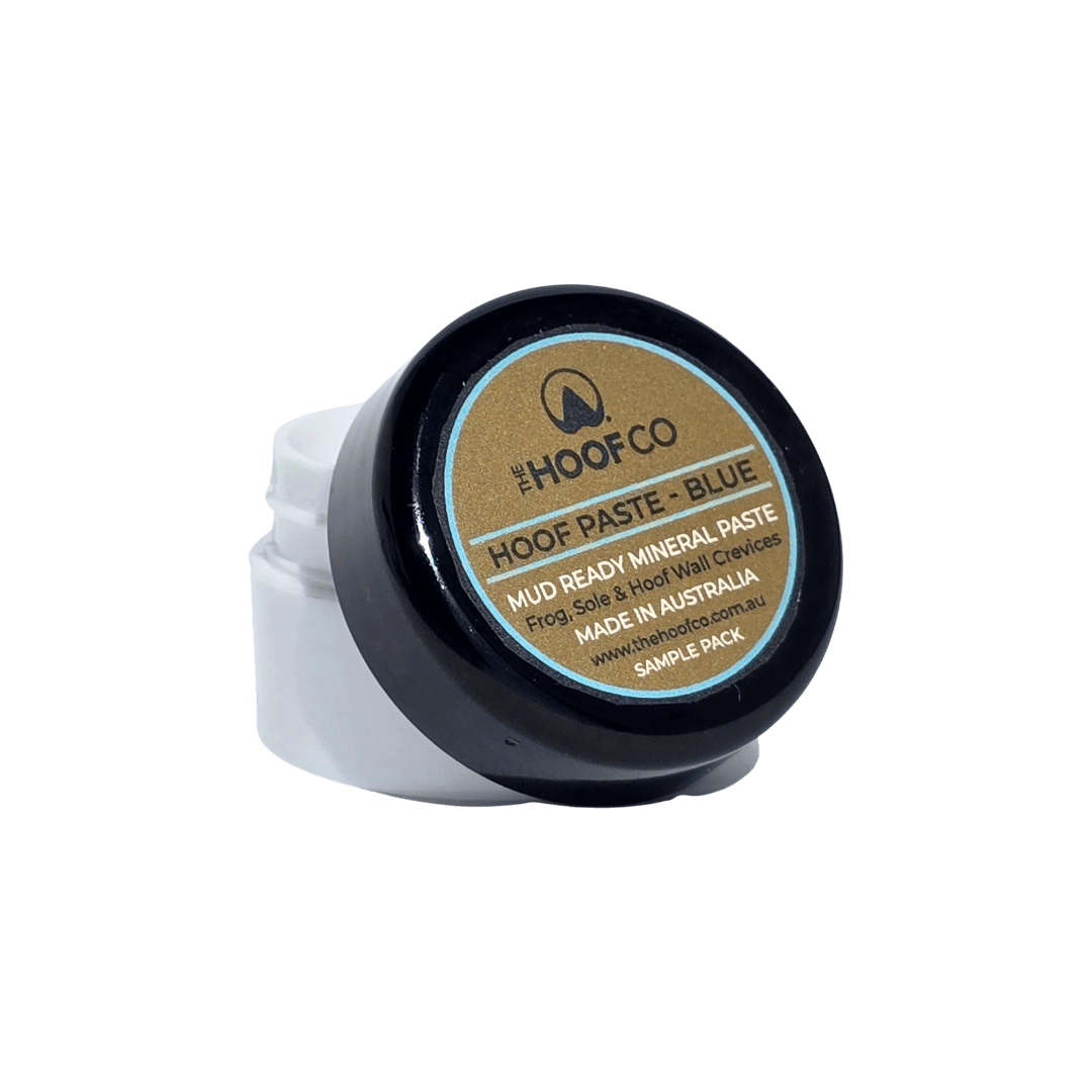 Thrush paste for horses