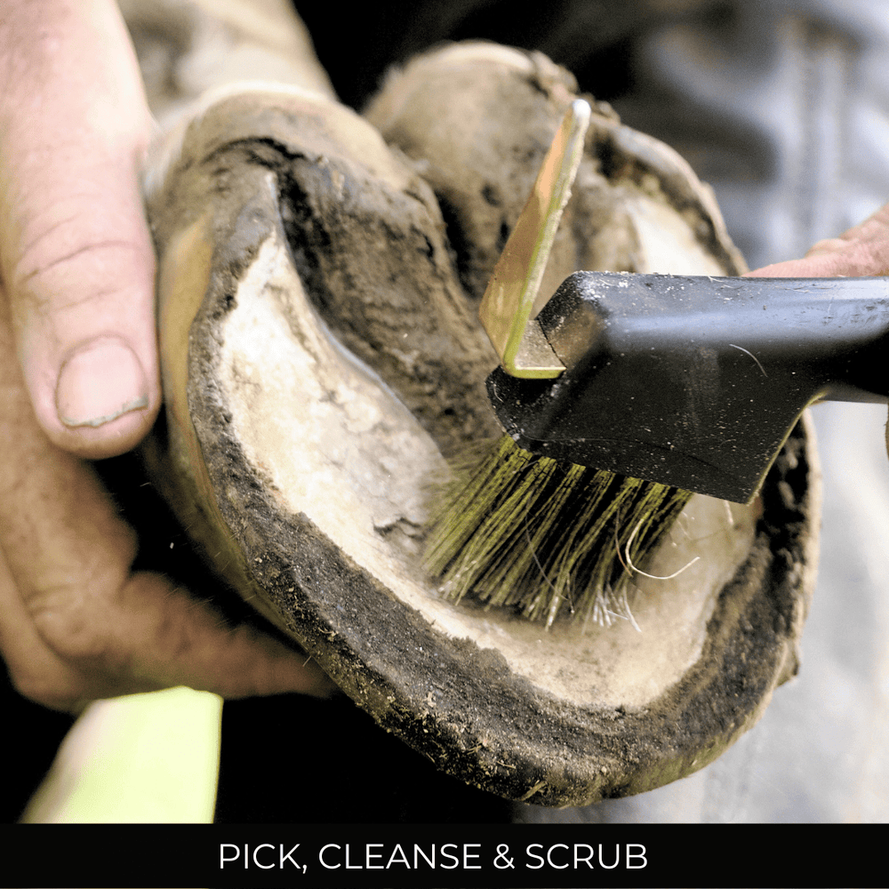 Person cleaning a horse's hoof with a brush and hoof pick.