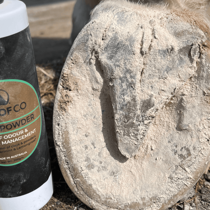 Hoof Powder Absorbent with Peppermint and Lemongrass