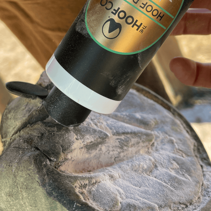 Hoof Powder Absorbent with Peppermint and Lemongrass