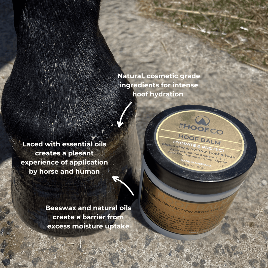 Hoof Balm- Lube those hooves