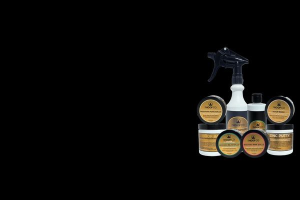 Horse hoof care and equine horse grooming