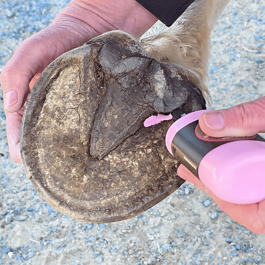 Hoof ix pink easy squeeze hoof hygiene liquid