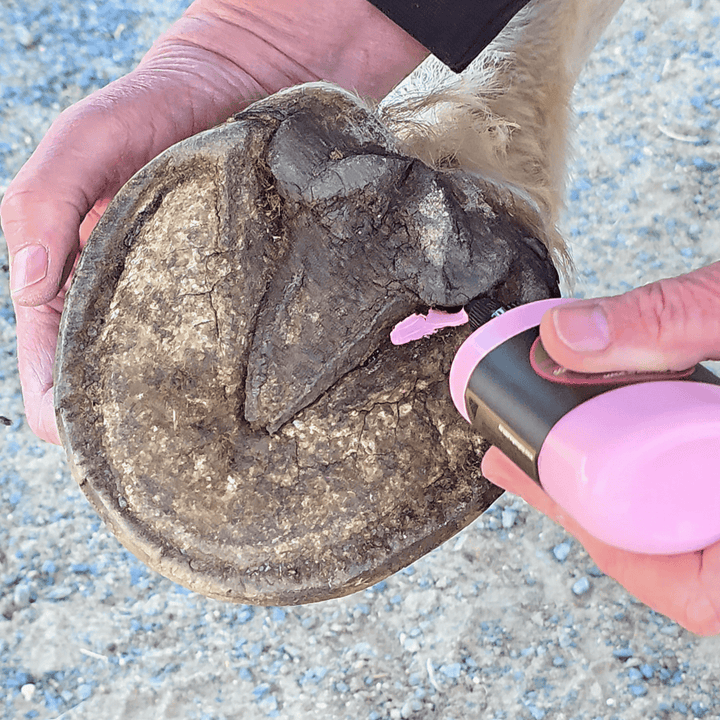 Hoof ix pink easy squeeze hoof hygiene liquid