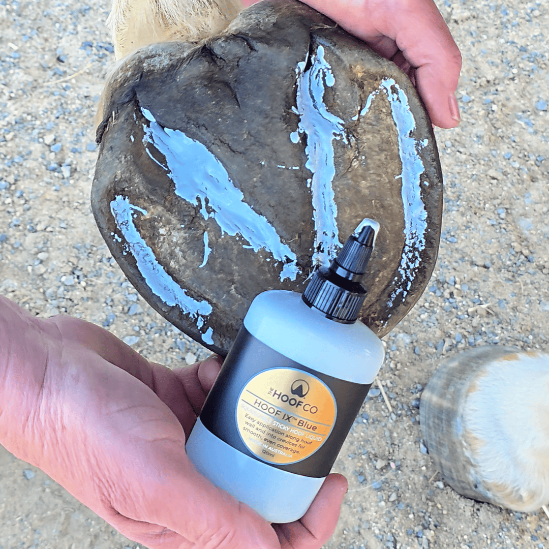 Hoof Hygiene liquid for seedy toe