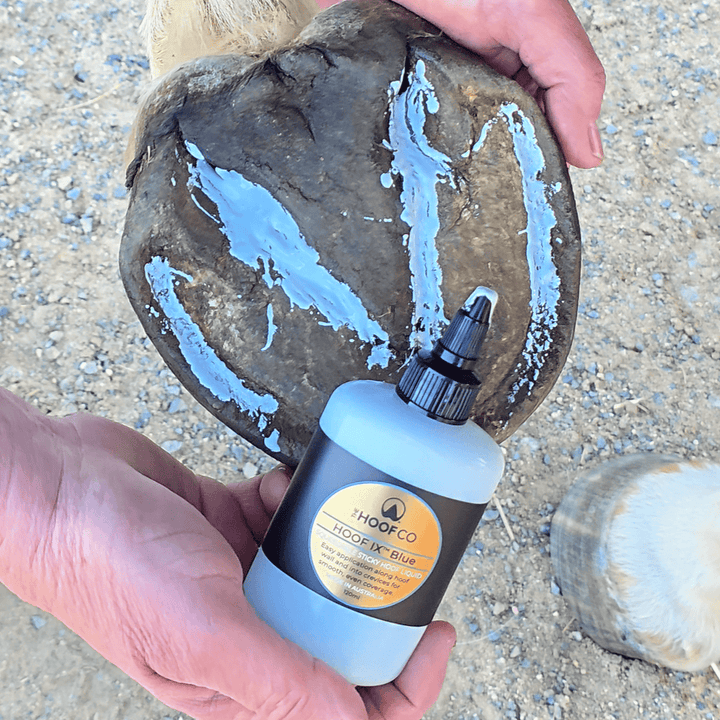 Hoof Hygiene liquid for seedy toe