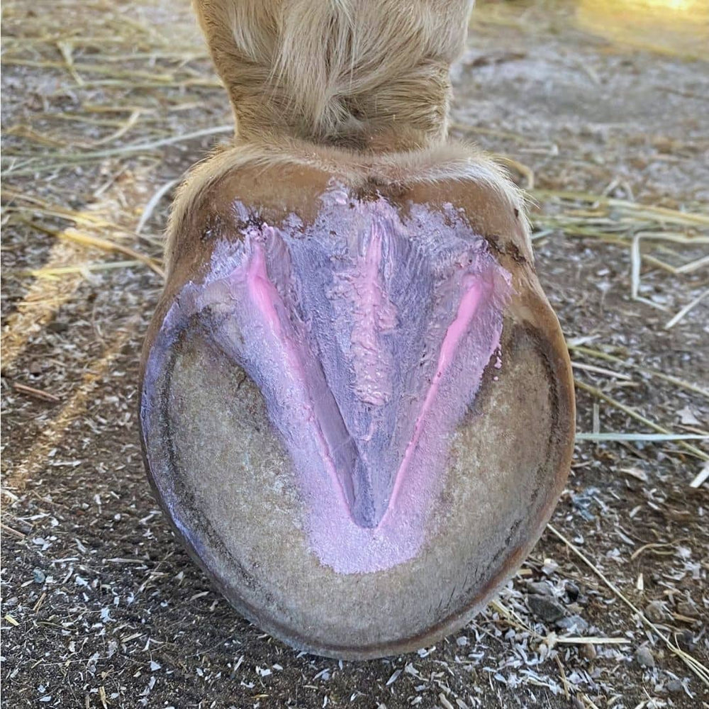 Hoof IX Pink Hoof Hygiene applied to a horses hoof