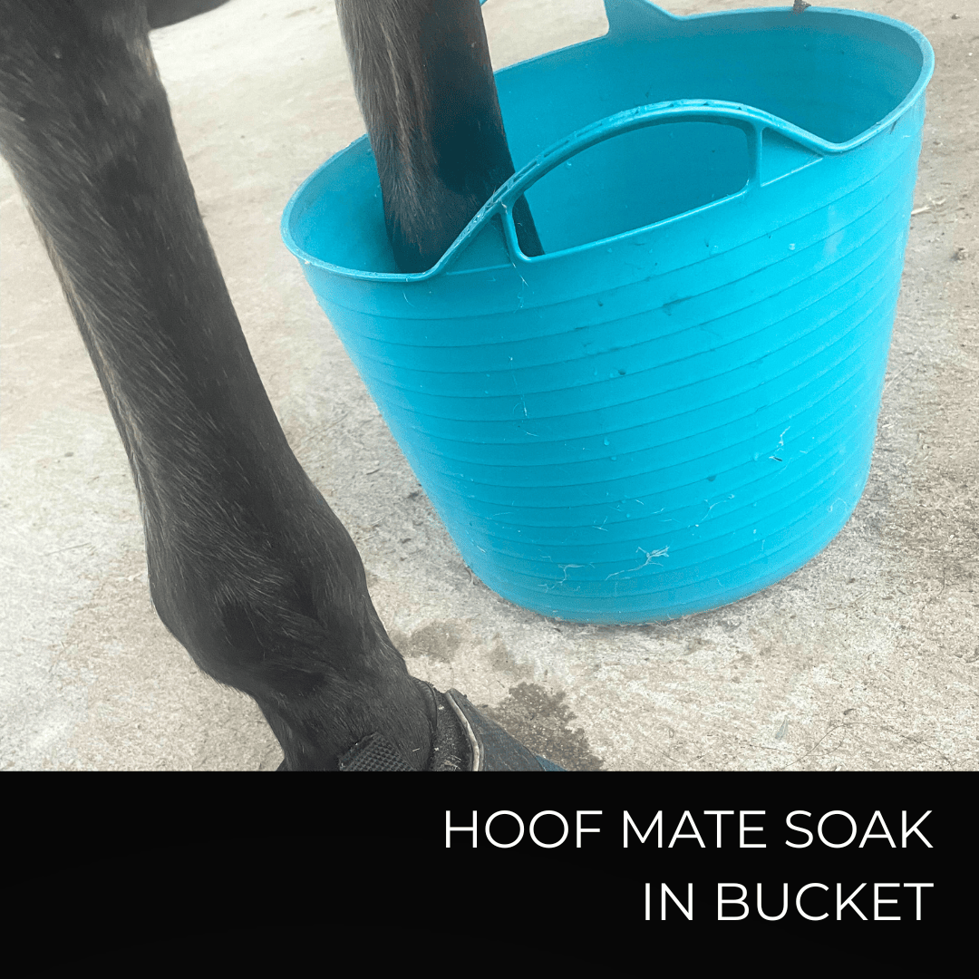 Hoof Mate Soaking Tablets Trial Size 6 Tablets
