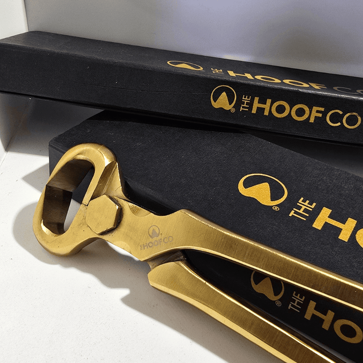 hoof nippers in box, 14" racetrack nippers, gold hoof nippers, farrier tools