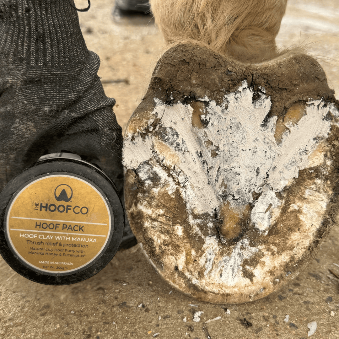 Hoof Pack - Hoof Clay for Thrush