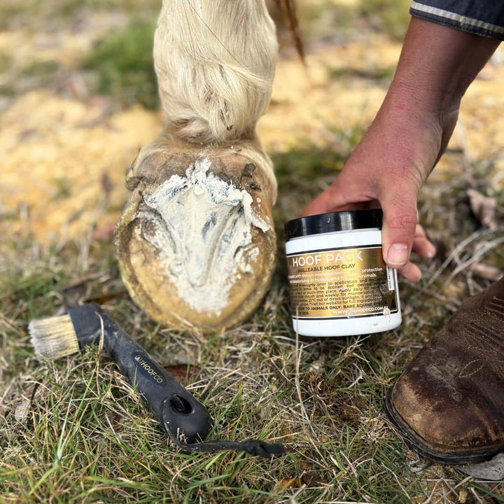 Thrush prevention for horses