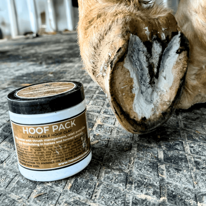 Hoof Pack - Hoof Clay for Thrush