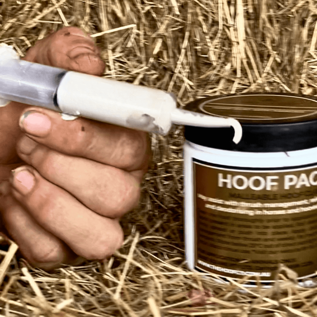 Curved Tip Syringe Hoof Applicator