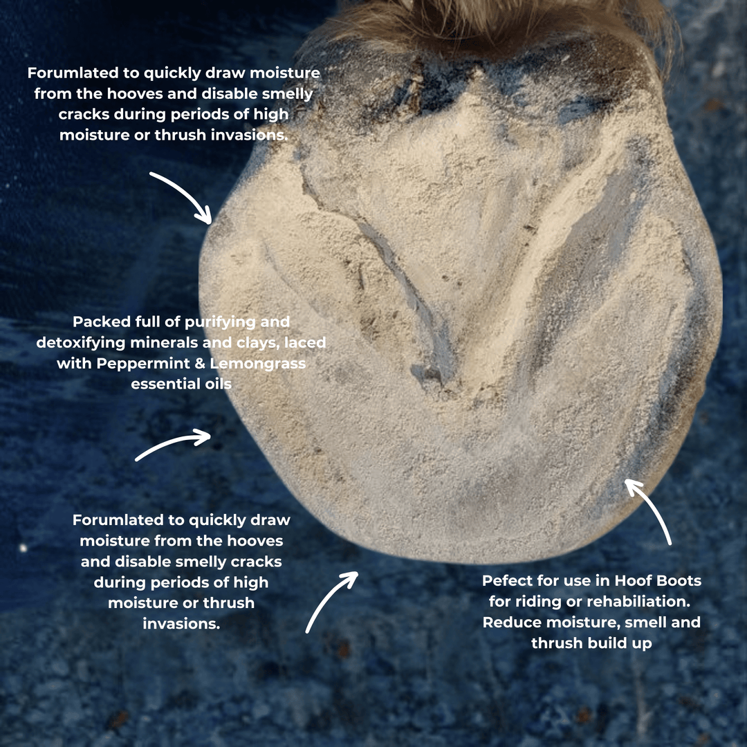 Hoof Powder - Thrush and odour management