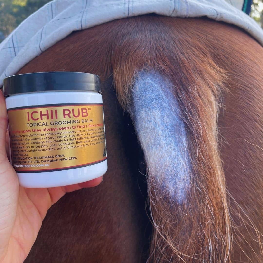 Ichii Rub cream for horses being applied to horses tail where they have rubbed out the hair