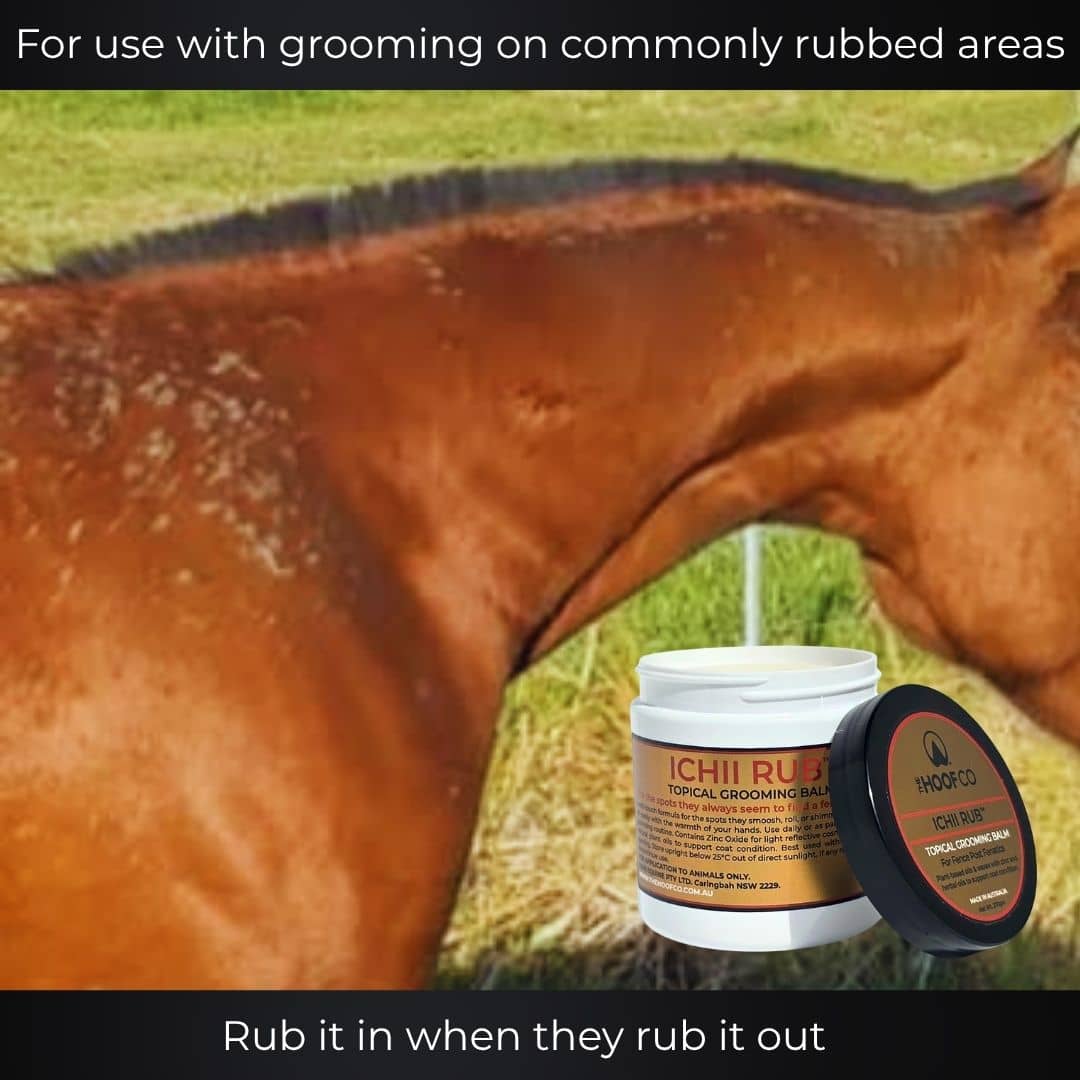 queensland itch balm