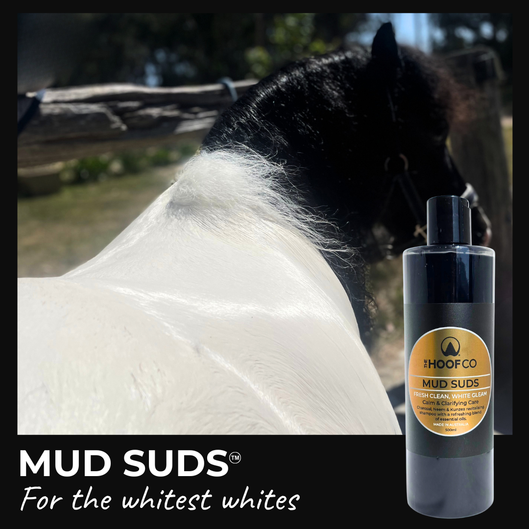 Mud Suds Clarifying Charcoal Horse Shampoo