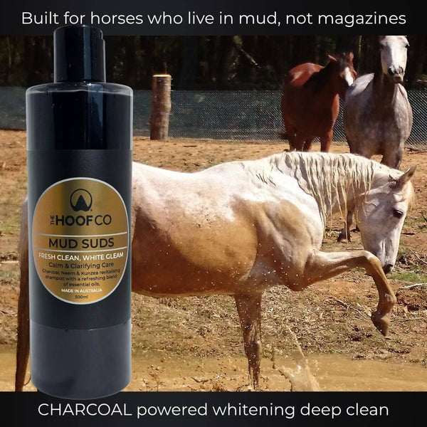 Charcoal shampoo for horses