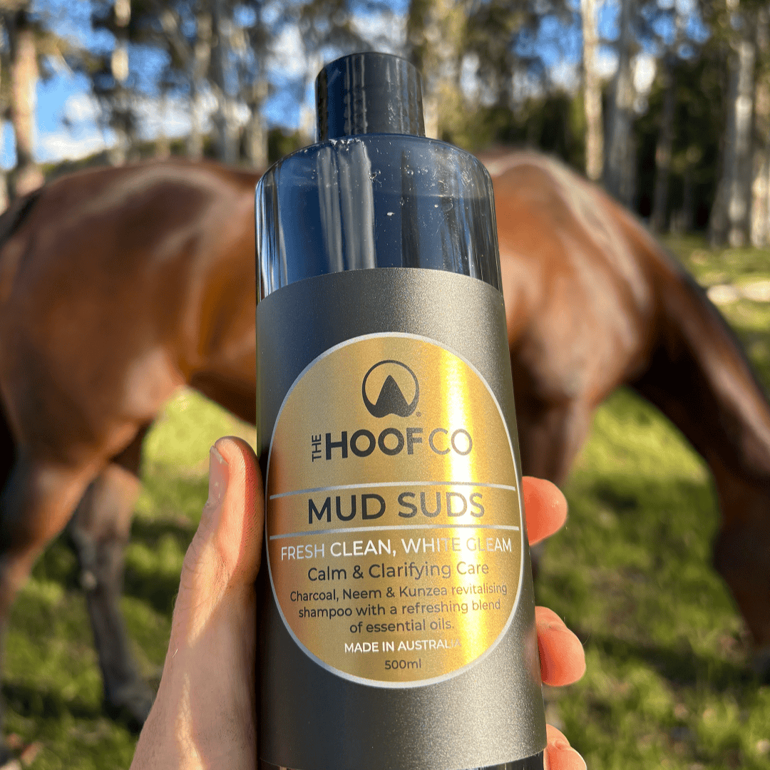 Charcoal whitening shampoo for horses