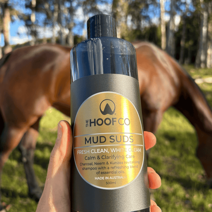 Charcoal whitening shampoo for horses