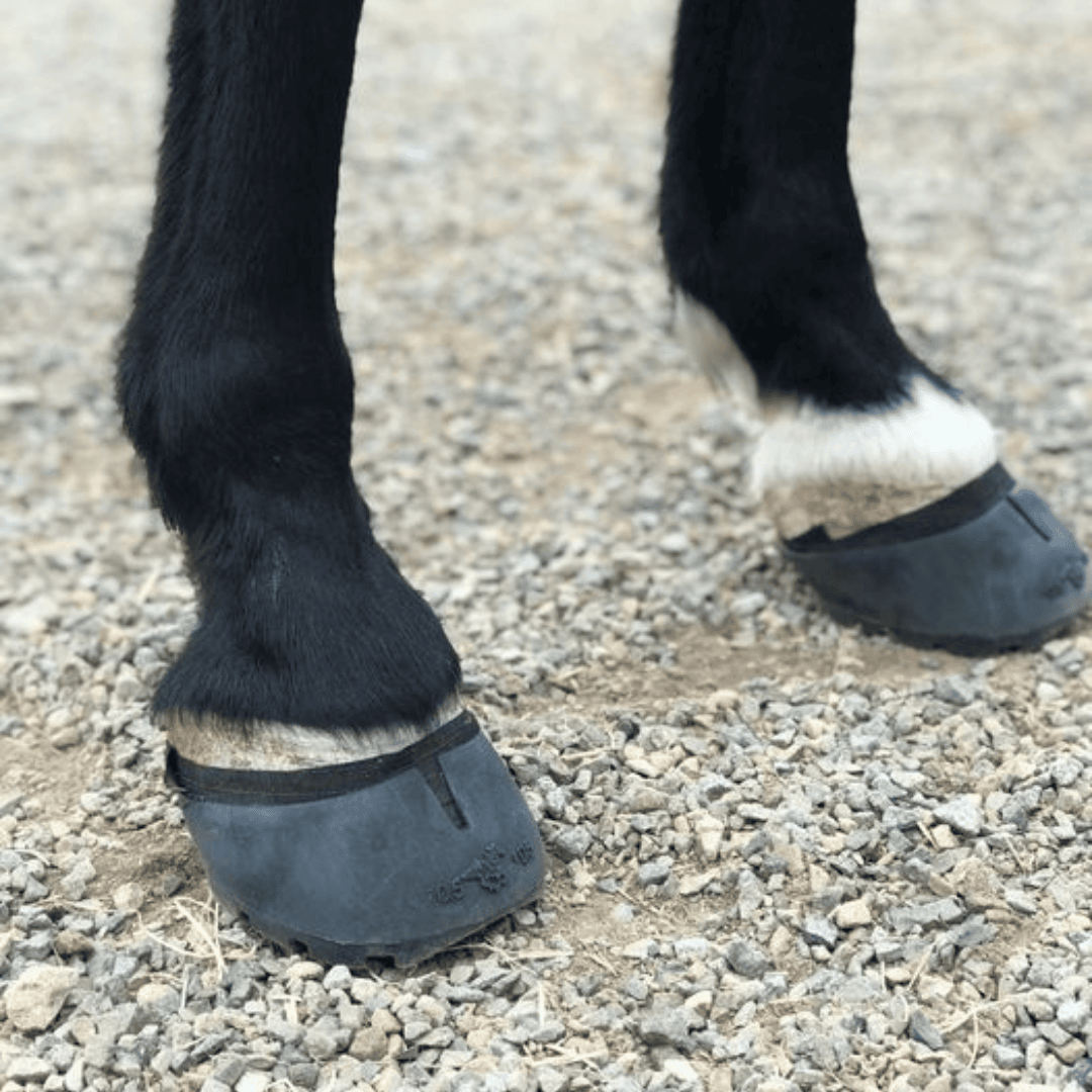 Mueller Tape for Hoof Wrapping