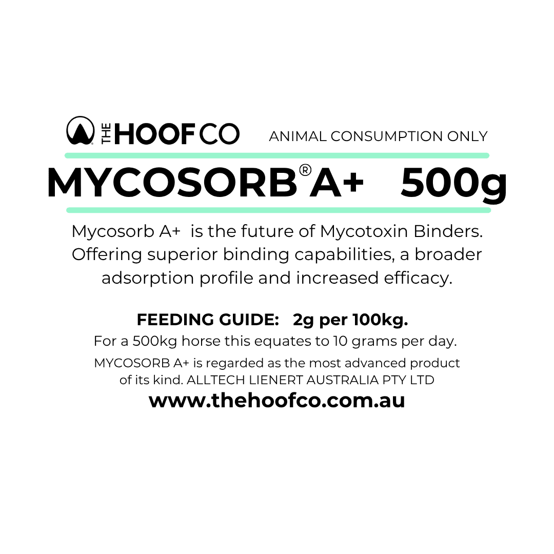 Mycosorb A+ Toxin Binder for horses 500g