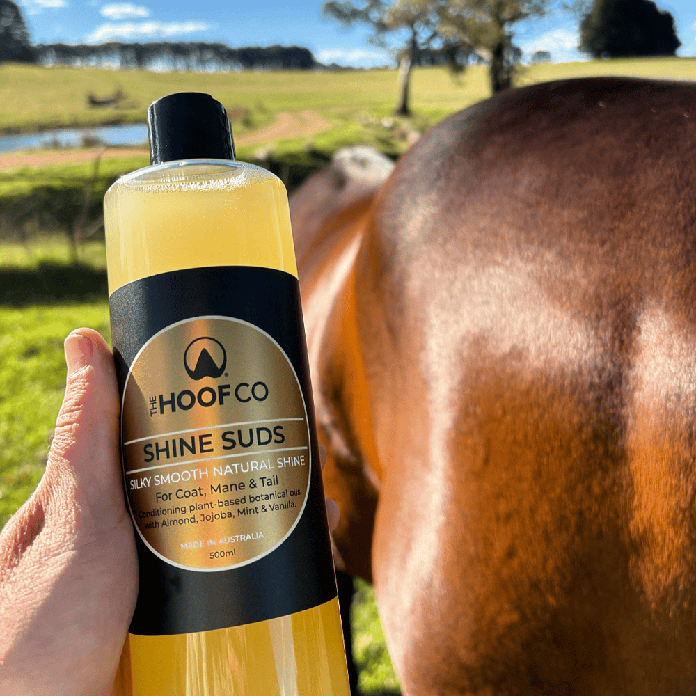 Shine spray for horses