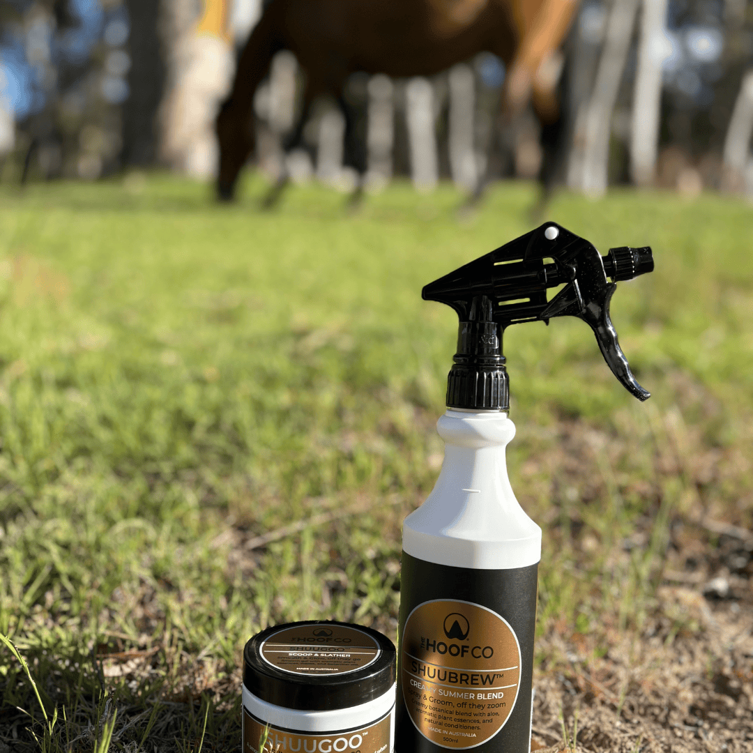 Fly spray and fly gel for horses